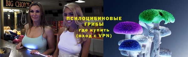 винт Арсеньев