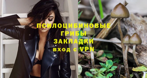Альфа ПВП Армянск