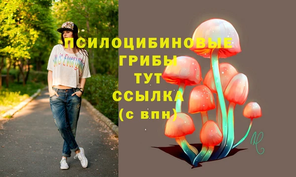 MDMA Premium VHQ Аркадак