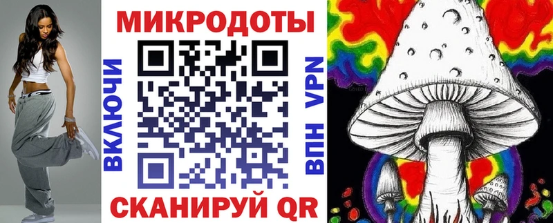 что такое   Нарьян-Мар  Псилоцибиновые грибы мицелий 